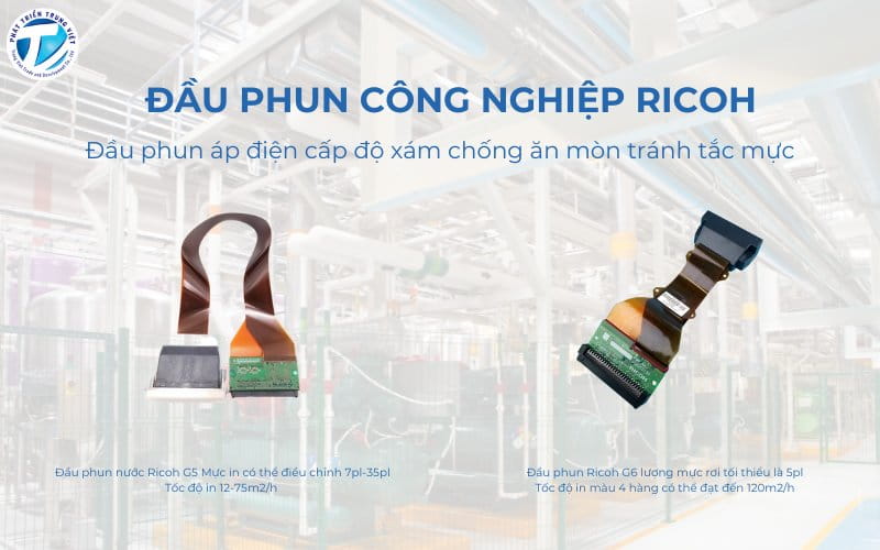 Đầu phun Ricoh Gen 5 và Gen 6 hiện đại cho bản in mướt, mịn và bền màu